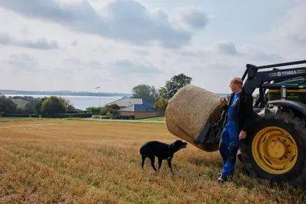 Blegind: Landmand og hund foran traktor med Halmballe