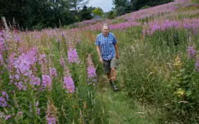 Vandretur på natursti