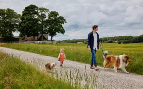 Skjørring: går tur med hunden