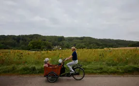 Adslev: Mor cykler med 3 børn på ladet solsikkemark