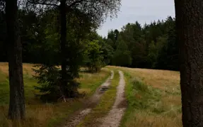 Natursti omkring Glarbo