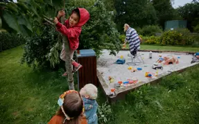 Børn klatrer i træ ved siden af sandkassen